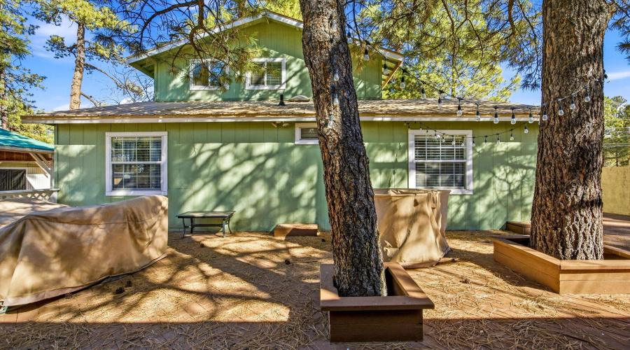 2880PaintPony-HeberOvergaardAZ-31