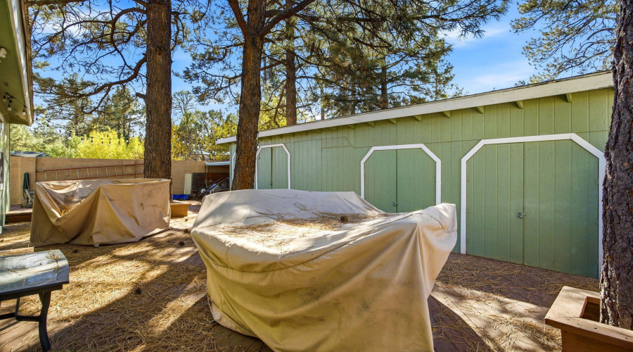 2880PaintPony-HeberOvergaardAZ-32