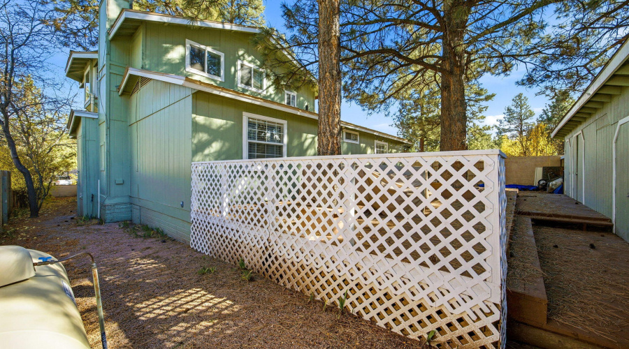 2880PaintPony-HeberOvergaardAZ-33