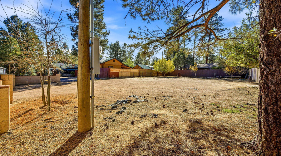 2880PaintPony-HeberOvergaardAZ-34