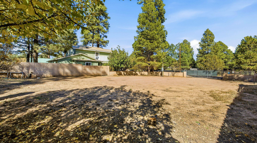 2880PaintPony-HeberOvergaardAZ-35