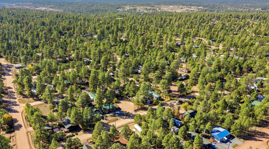 2880PaintPony-HeberOvergaardAZ-37