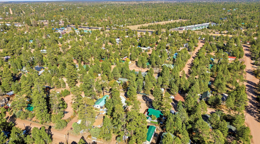 2880PaintPony-HeberOvergaardAZ-39