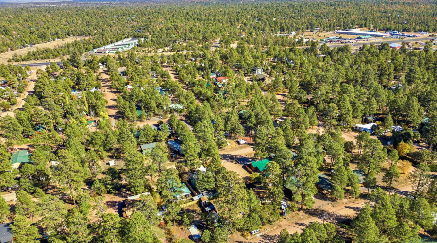 2880PaintPony-HeberOvergaardAZ-40