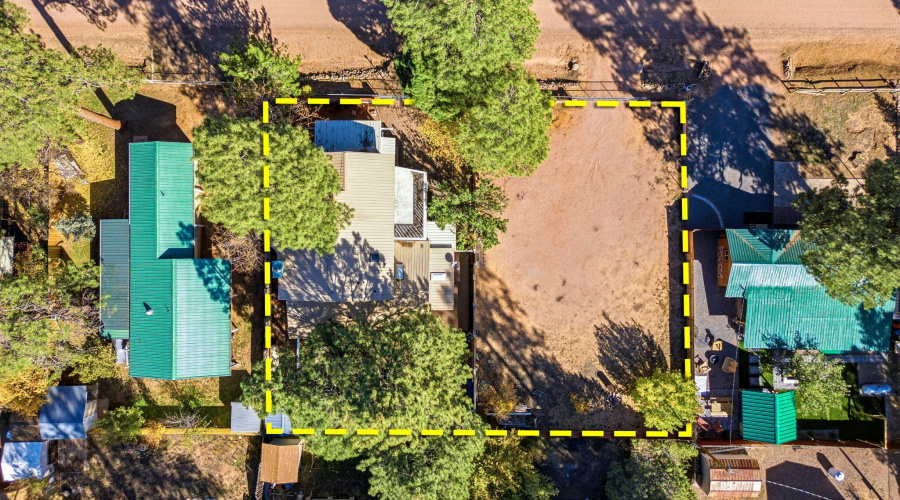 2880PaintPony-HeberOvergaardAZ-41