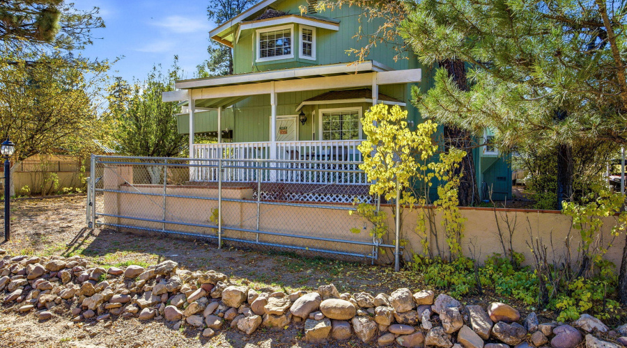 2880PaintPony-HeberOvergaardAZ-3