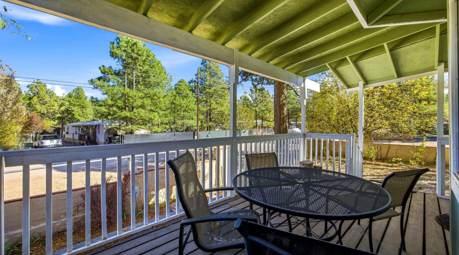 2880PaintPony-HeberOvergaardAZ-5