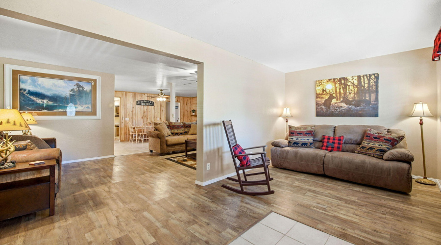 2880PaintPony-HeberOvergaardAZ-7