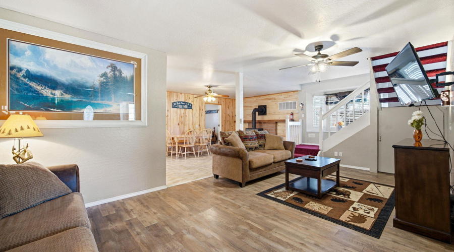 2880PaintPony-HeberOvergaardAZ-9