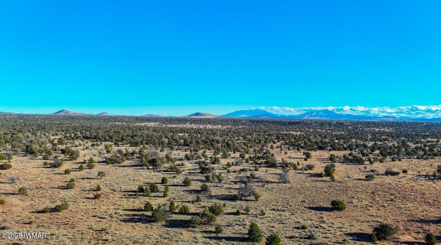 20250401070905294683000000-o (1)