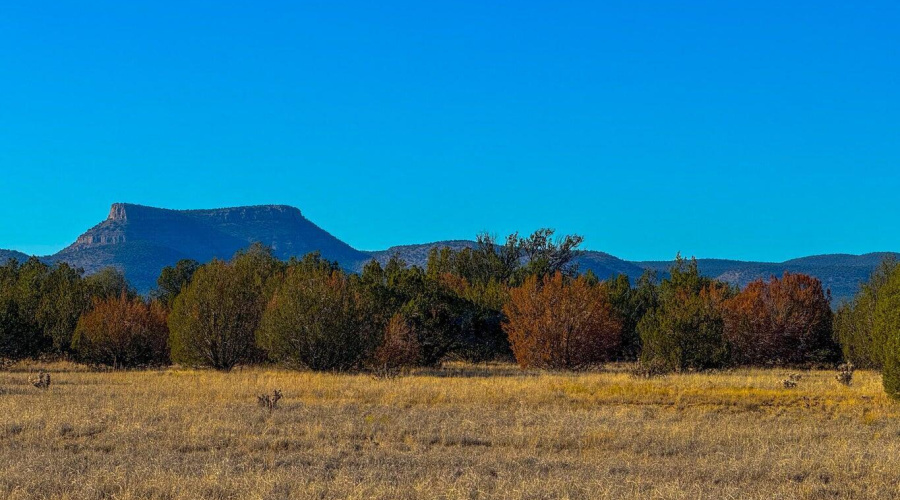 20251101154307004784000000-o