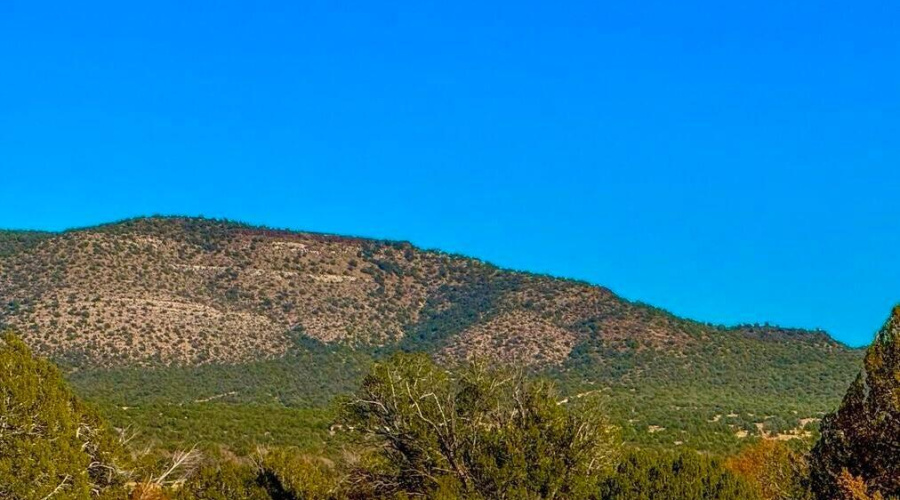 20251103060010407667000000-o