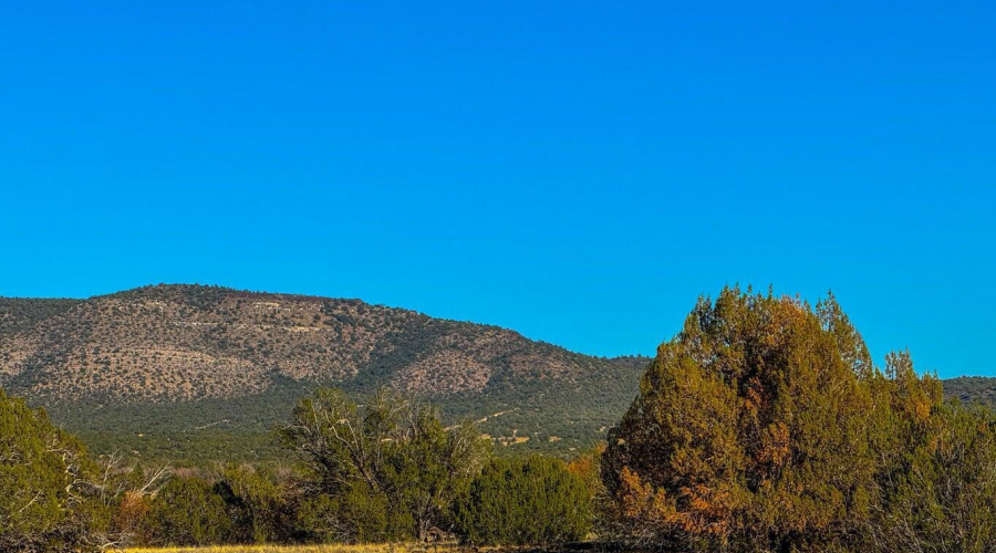 20251101154305124330000000-o