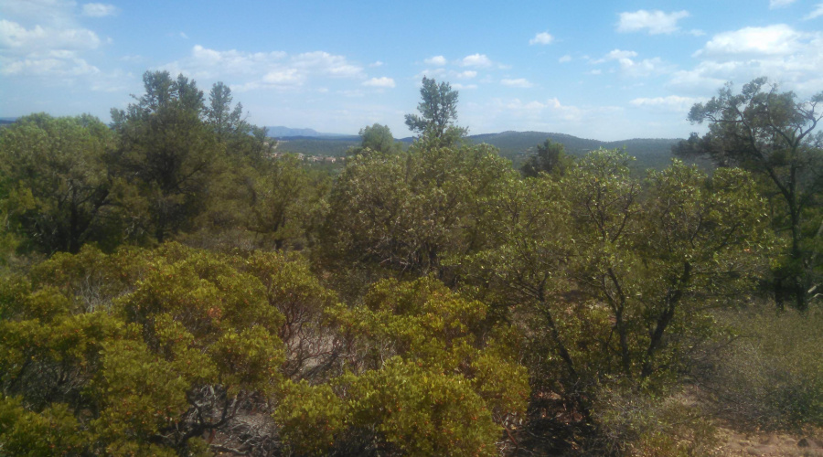 IMG_20160628_145034_137