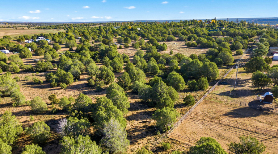 1170SapphireLn-Linden-AZ-12