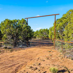 1170SapphireLn-Linden-AZ-1