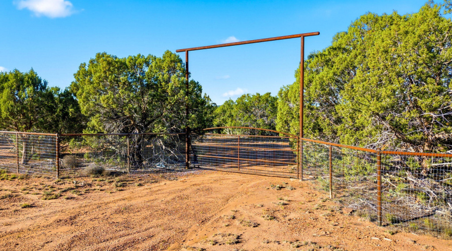 1170SapphireLn-Linden-AZ-1