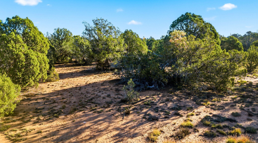 1170SapphireLn-Linden-AZ-2