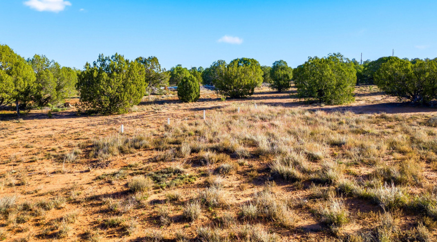 1170SapphireLn-Linden-AZ-3