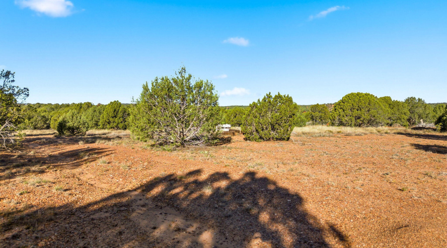 1170SapphireLn-Linden-AZ-4