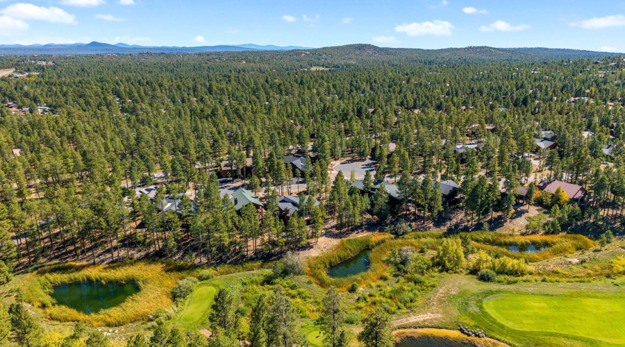 White Mountain Living