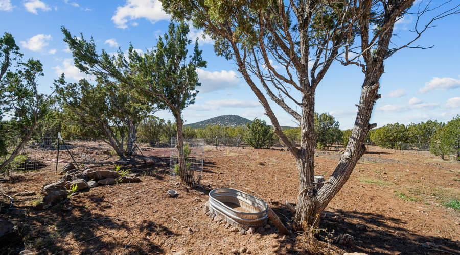 Homestead on Over 10 Acres