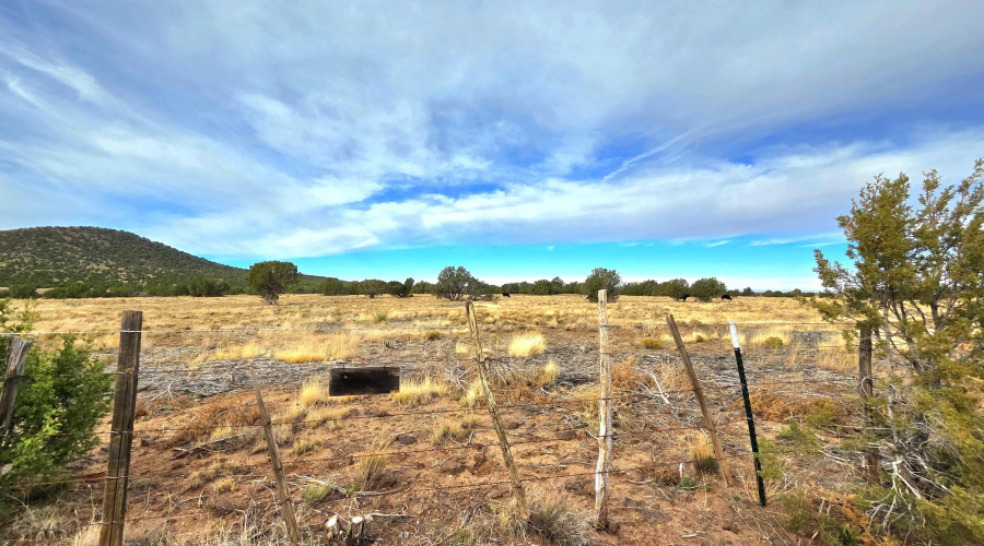 State Land Views