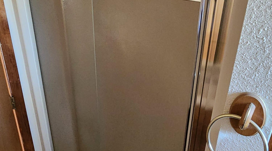 Primary Bathroom Shower