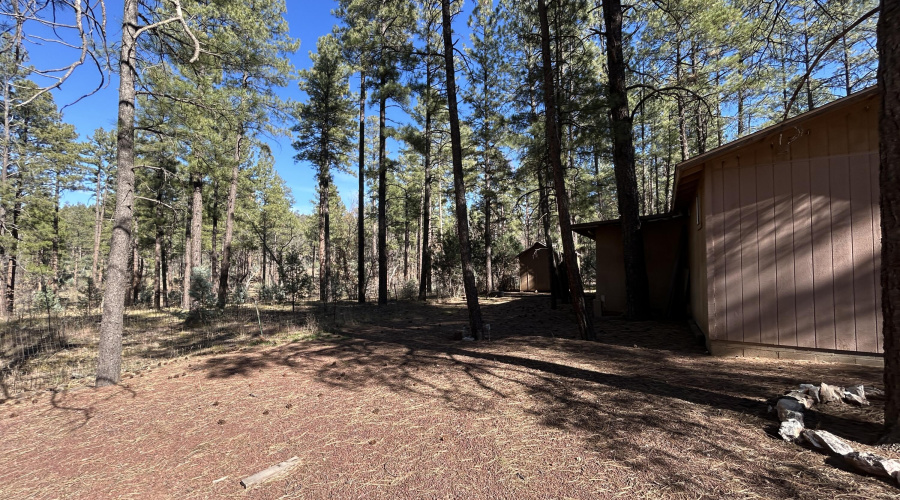 Back of home  - National Forest
