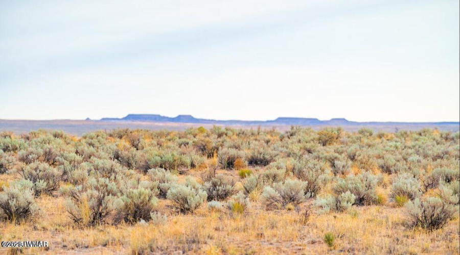 20251010081030838014000000-o