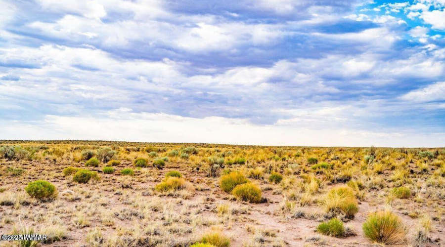 20251010081153083706000000-o