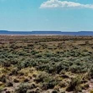 20251010080848913878000000-o