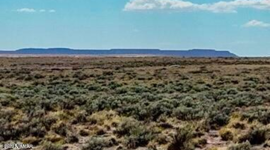 20251010080848913878000000-o