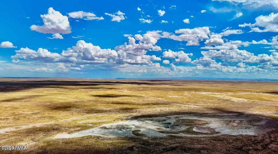 20251010080920208892000000-o