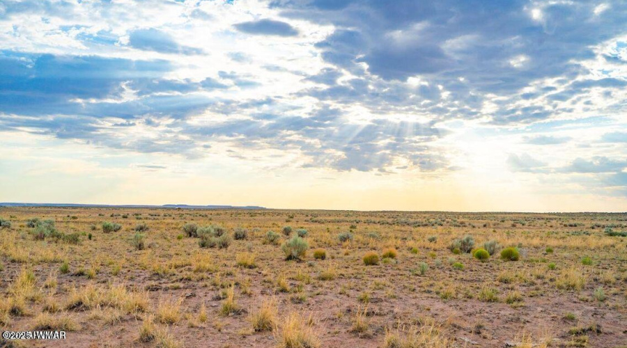 20251010081346944232000000-o