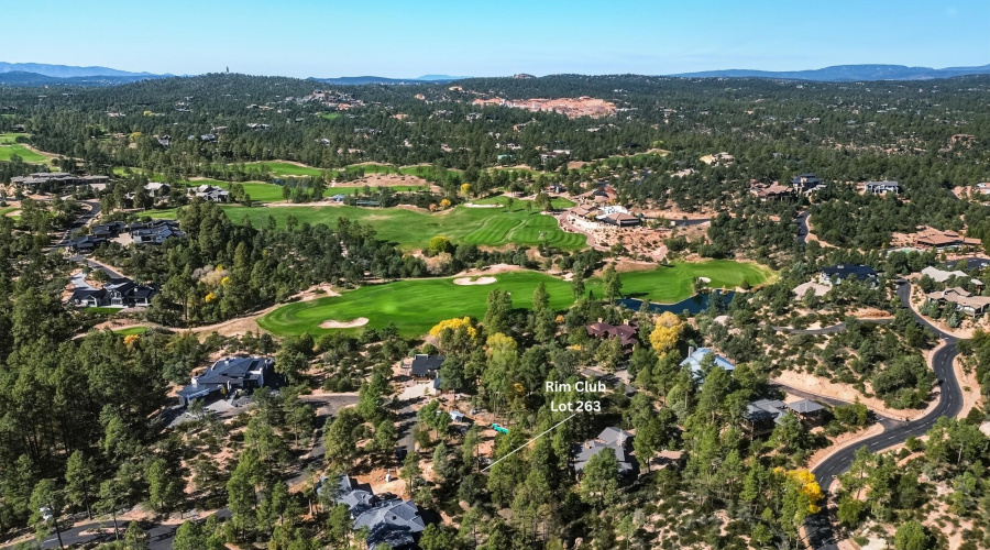 10_rim club lot 263 (3)