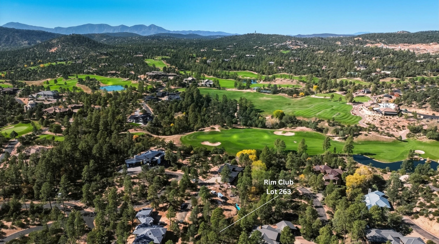 11_rim club lot 263 (4)