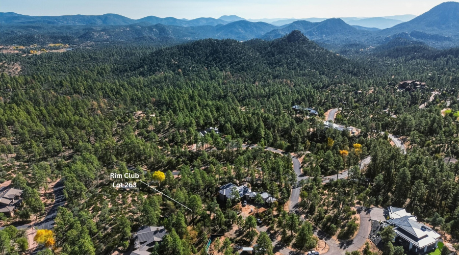 12_rim club lot 263 (5)