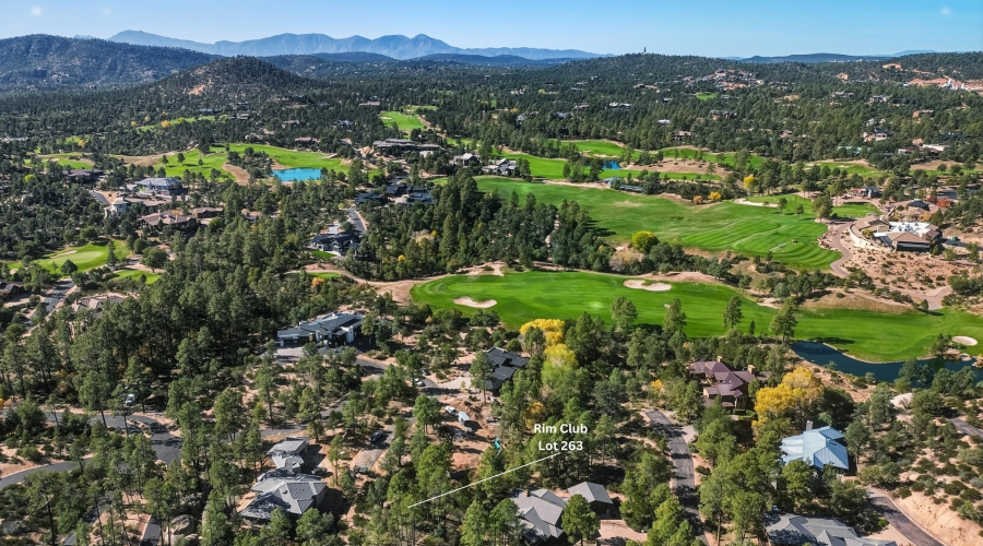 13_rim club lot 263 (6)