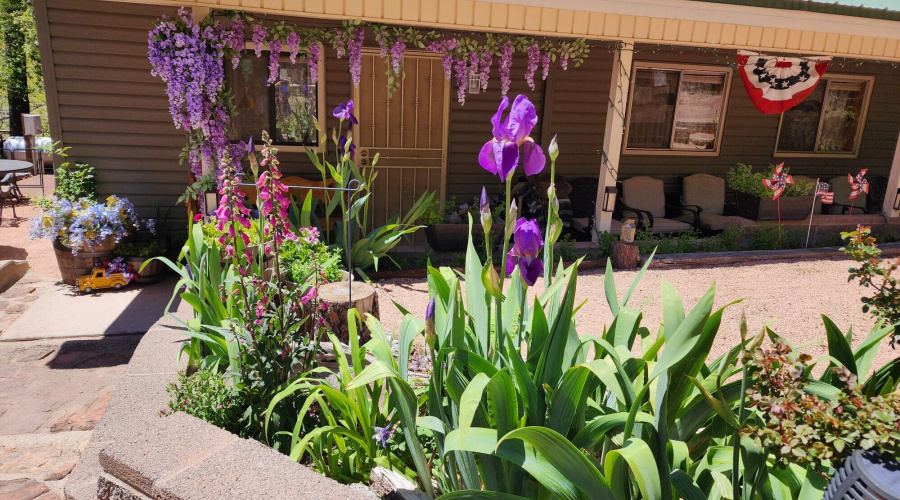 wisteria front porch