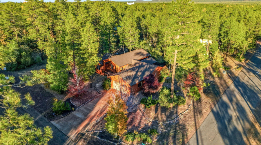 Aerial View of Home & Yard