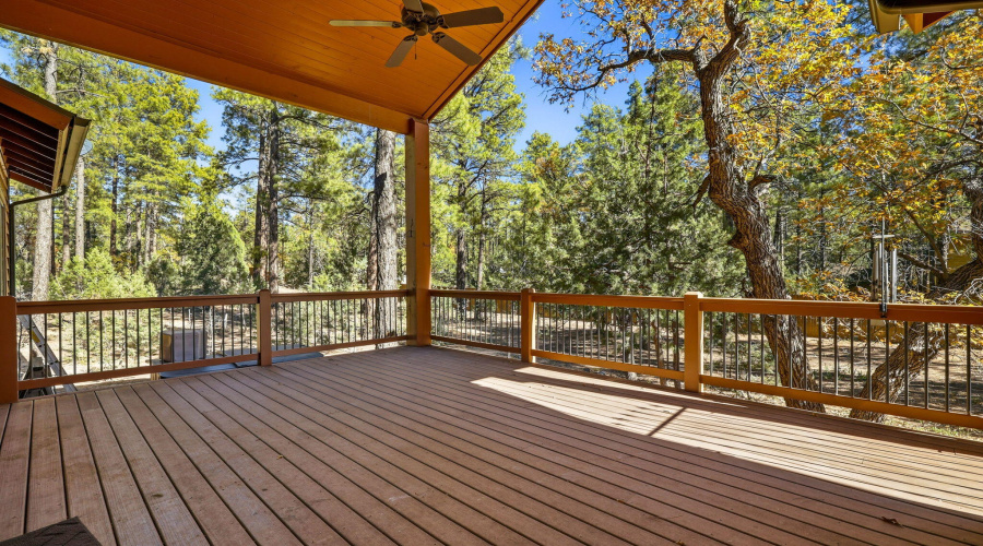 Covered Back Deck
