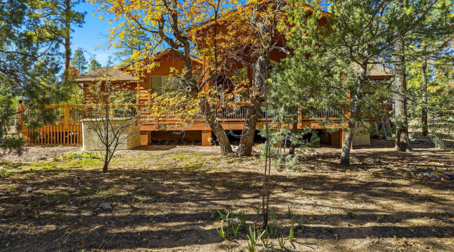 Backyard/Back of Home