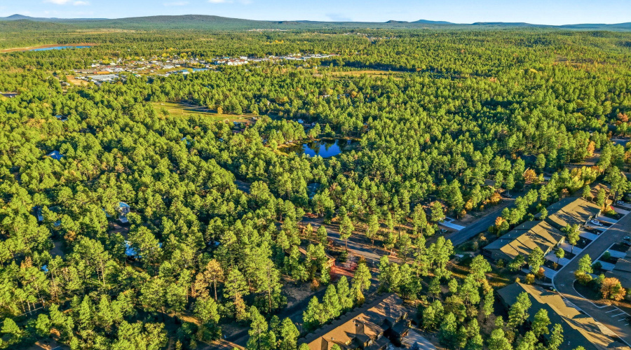 Aerial View of Community