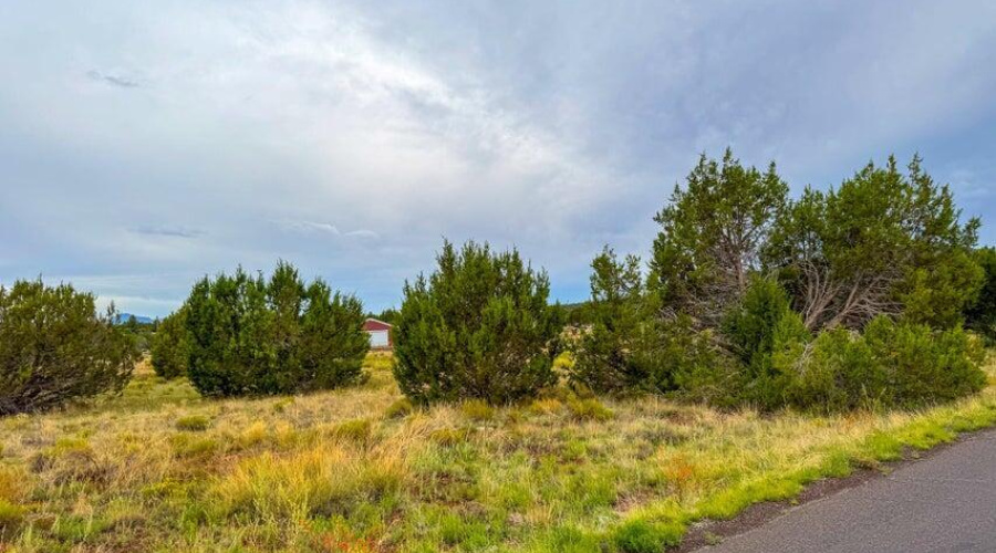 20251106233353998628000000-o