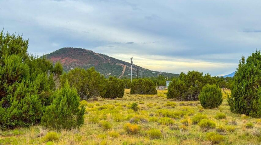 20251106233344668393000000-o