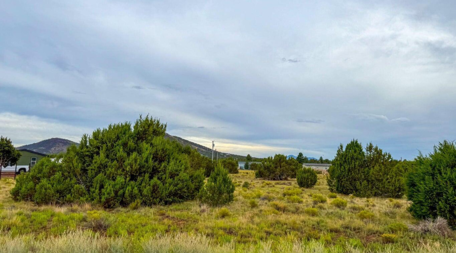 20251107000100800880000000-o