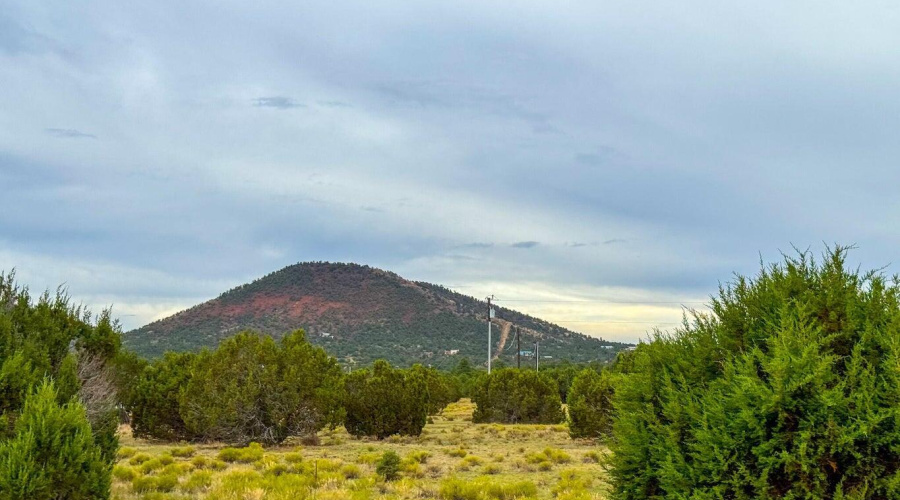 20251107000106680746000000-o