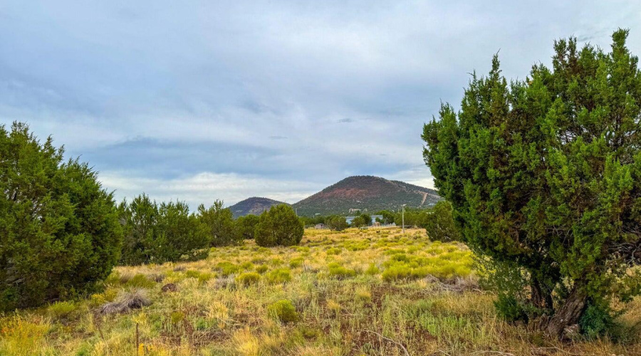 20251107000110469798000000-o