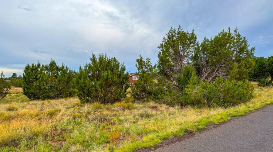 20251107000111362919000000-o